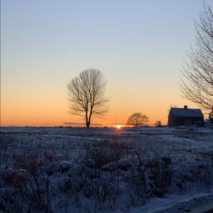 Meet your Posher, Princess